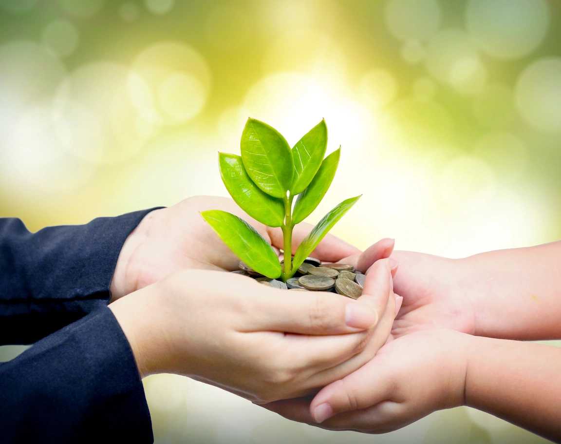 Hands nurturing a small green plant symbolizing growth and care.